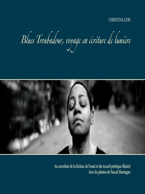 cover image of Blues Troubadour, voyage en écriture de lumière